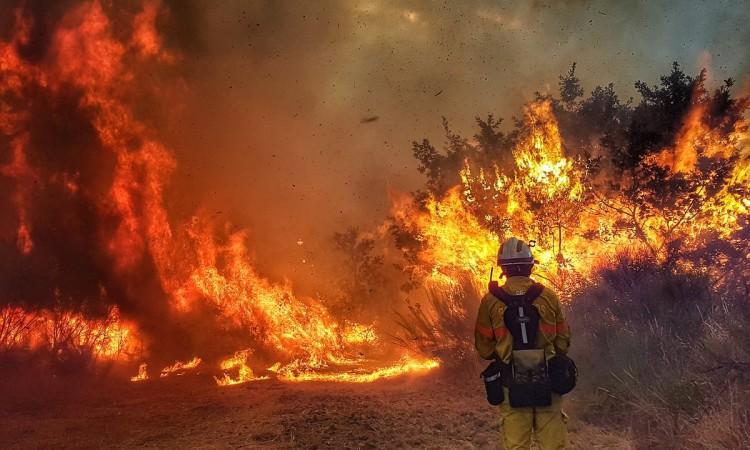 U požaru u Kaliforniji poginulo najmanje sedam osoba