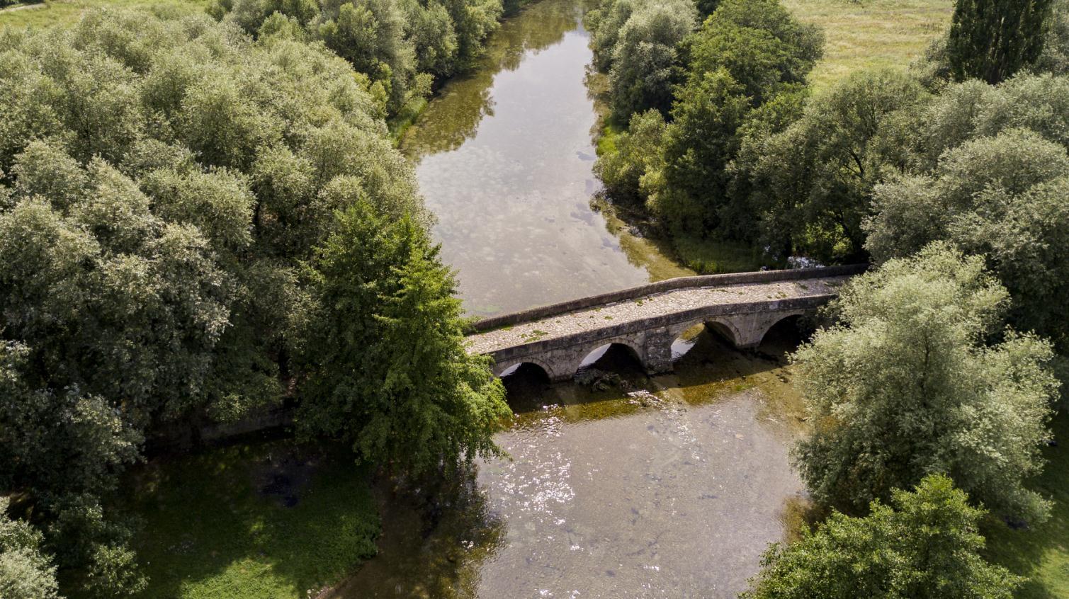 Ilidža: Fijakerom kroz aleju od 726 platana do rajskog Vrela Bosne