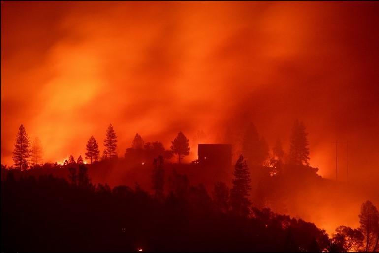 Požari u Kaliforniji gutaju sve pred sobom: 88 osoba poginulo, a 196 nestalo