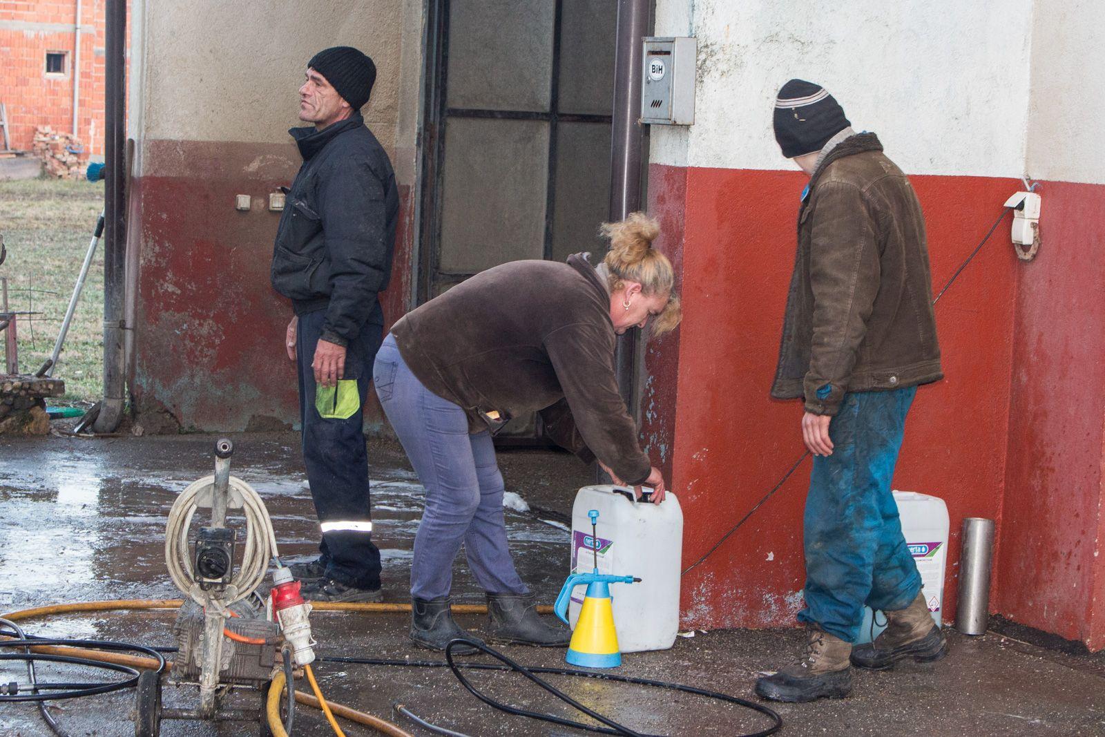 Najstariji Duško roditeljima pomaže u autopraonici - Avaz