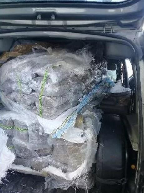 Pročitajte kako je policija otkrila i zaplijenila više od 100 kilograma skanka