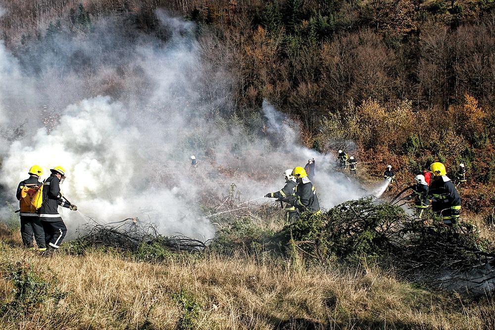 Iako se radi o požaru u kojem je gorjelo nisko rastinje, vatrogasci mu pristupaju ozbiljno (Foto: D. Stojnić) - Avaz