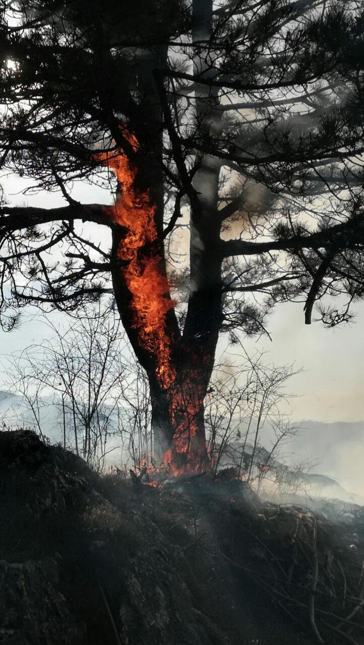 Na području općine Gacko aktivna četiri požara - Avaz