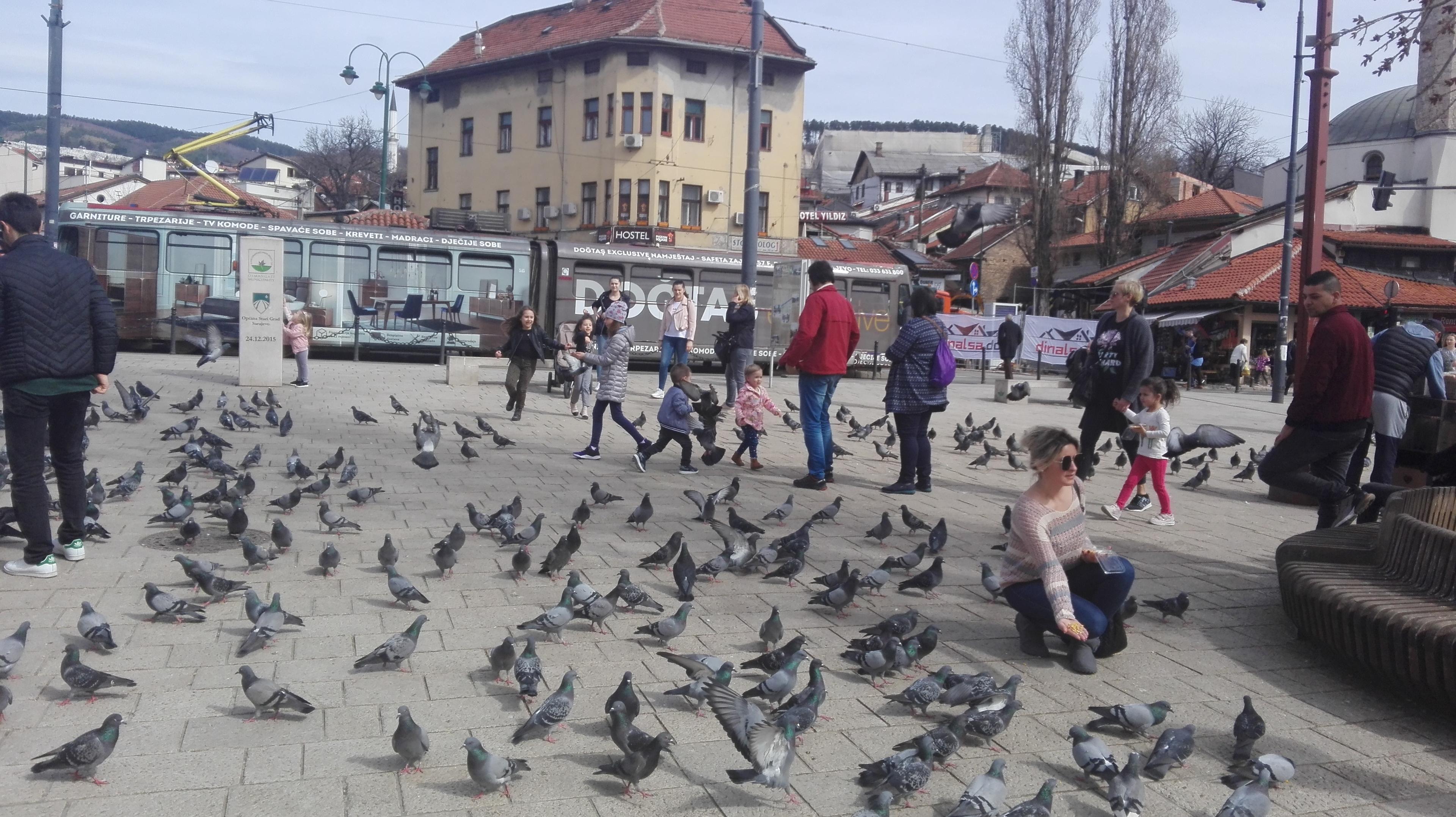 Pogledajte kako Sarajlije uživaju u popodnevnoj kafi u baštama kafića