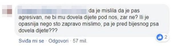 Dnevni avaz