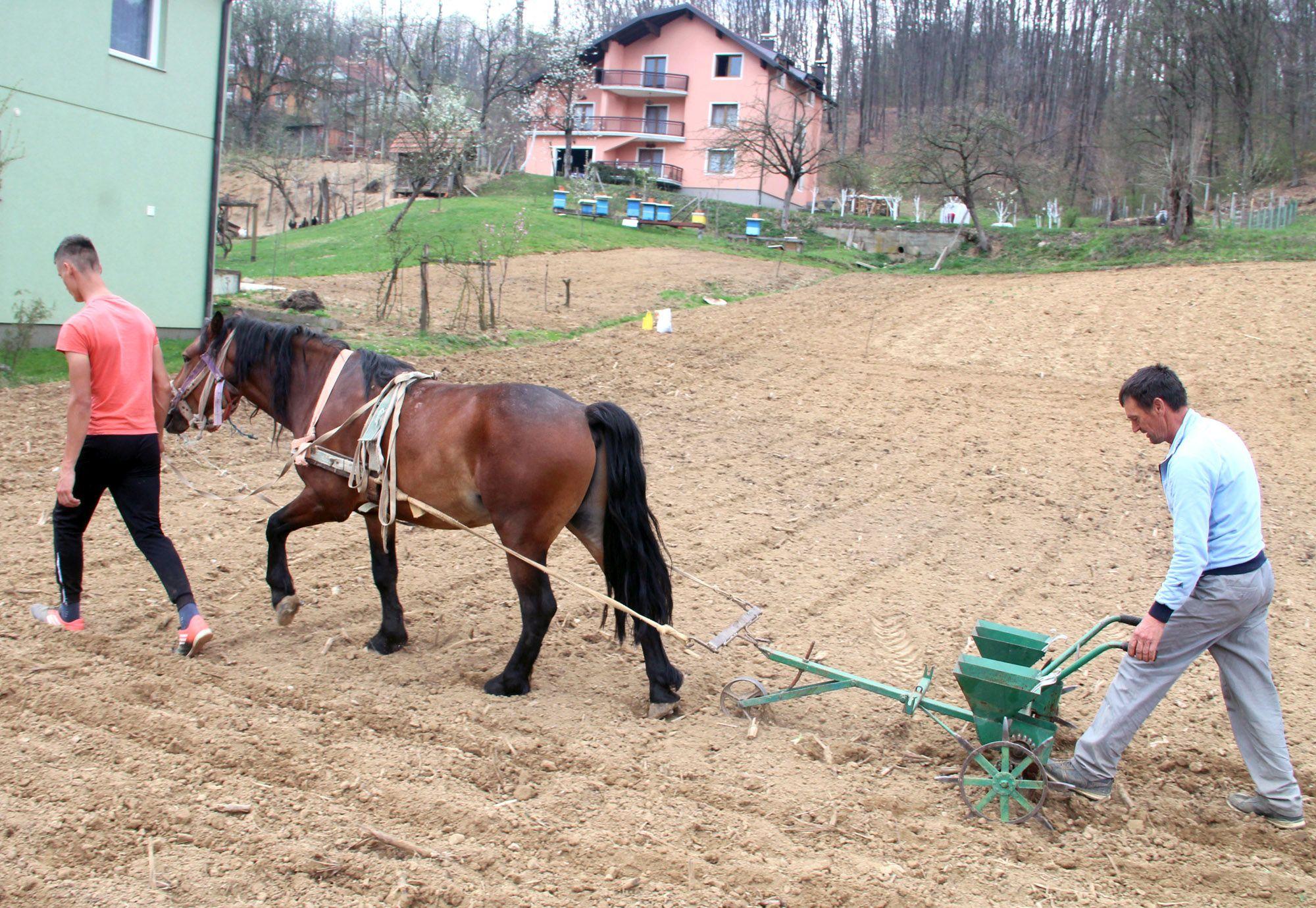 Iako je obrada zemlje danas mehanizirana, mašina, ipak, ne može svugdje stići - Avaz