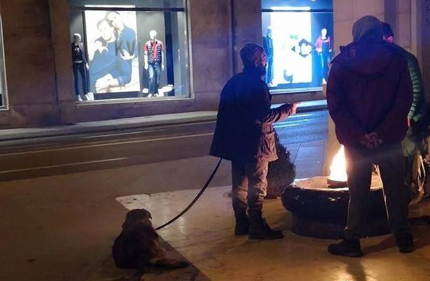 Uhapšen muškarac osumnjičen za silovanje i zlostavljanje pasa