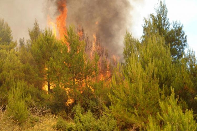 Na području HNK u protekla 24 sata zabilježeno 11 požara