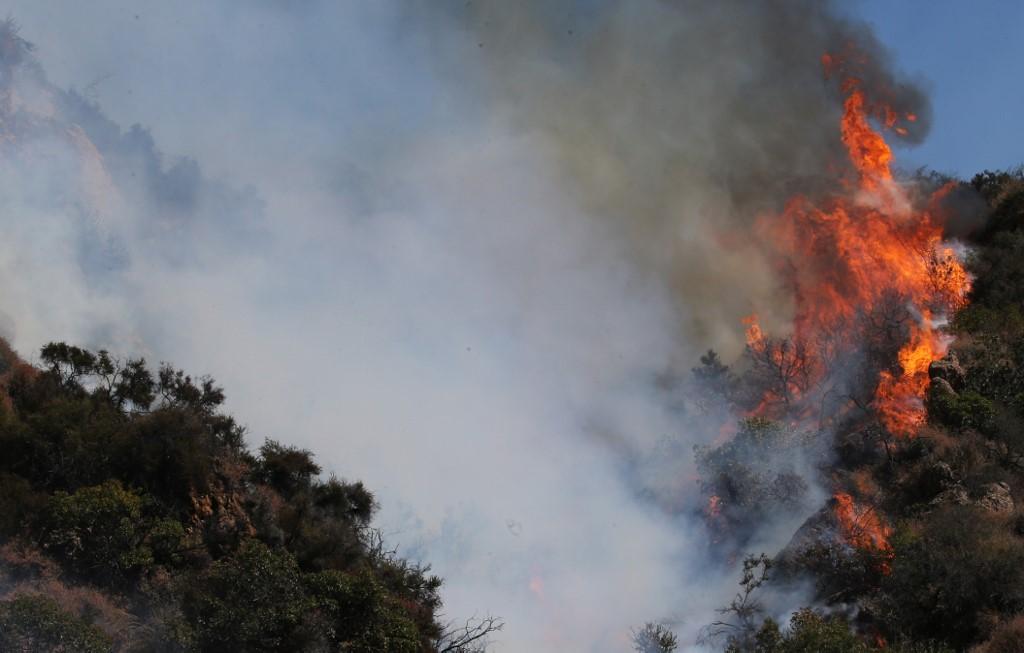 Požar stigao do Los Anđelesa, više od 10 hiljada kuća u opasnosti