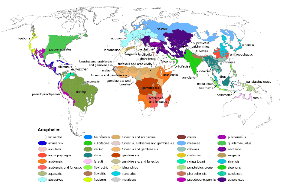 Wikipedia commons - Avaz