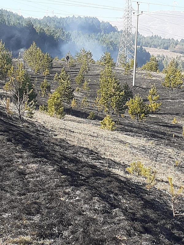 Požar u Tomislavgradu - Avaz