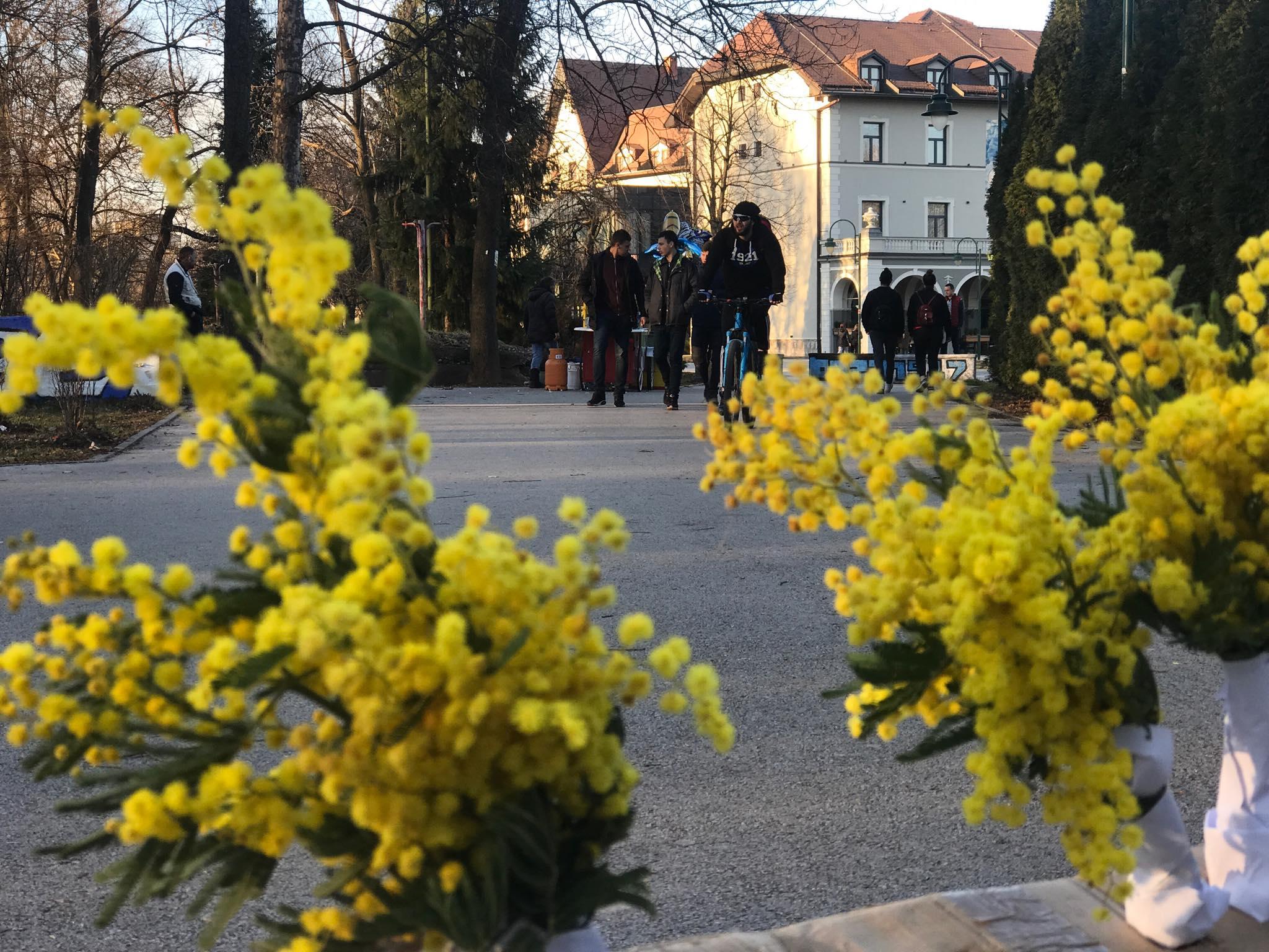 Pred nama umjereno oblačan i sunčan vikend