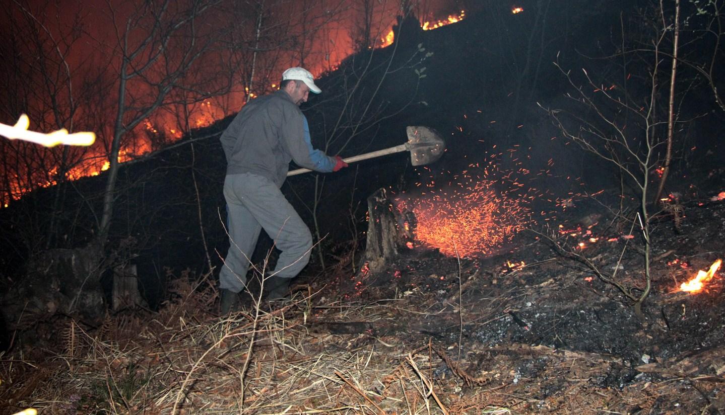 Borba s vatrenom stihijom - Avaz