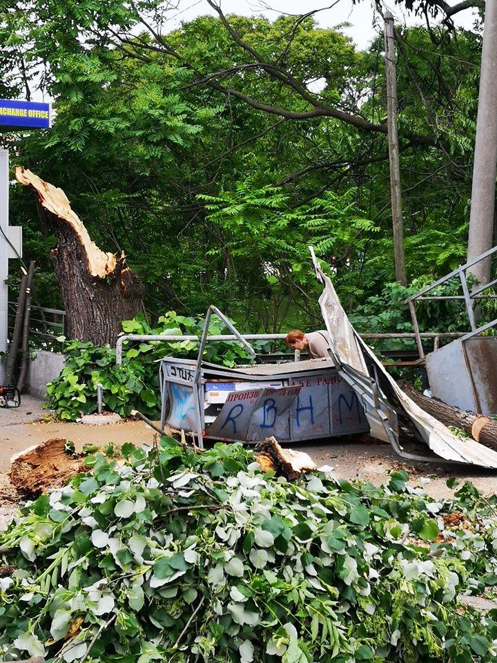 Nevrijeme napravilo haos u Banjoj Luci: Padalo drveće, oštećen auto