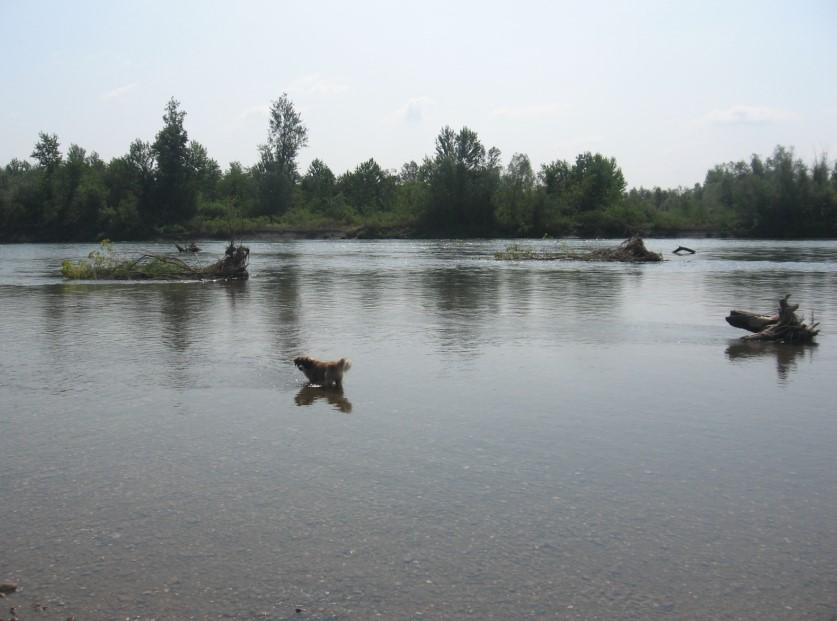 Drina: Izvučena dva tijela u dva dana - Avaz