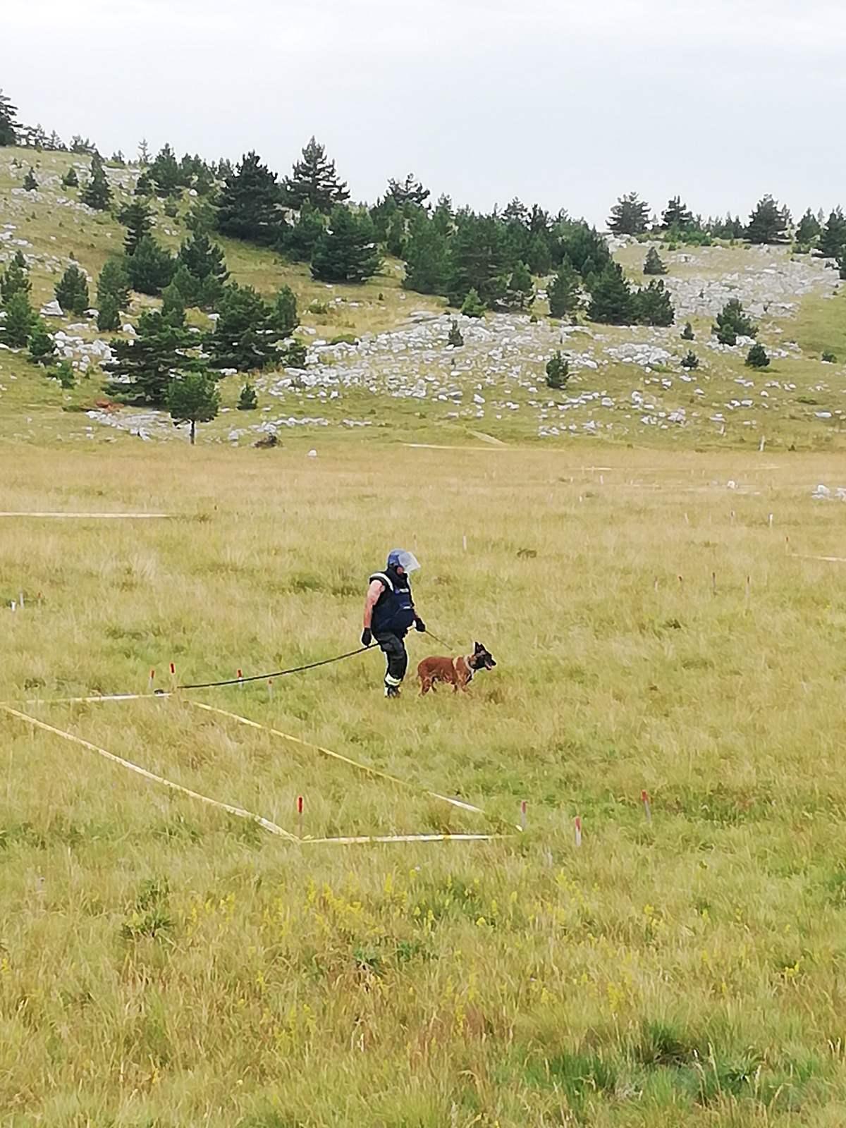 U deminiranje uključeni i psi - Avaz