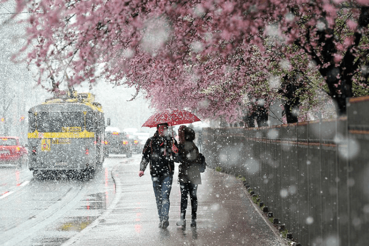 Pripremite se, od sutra kiša i snijeg uz dosta niže temperature