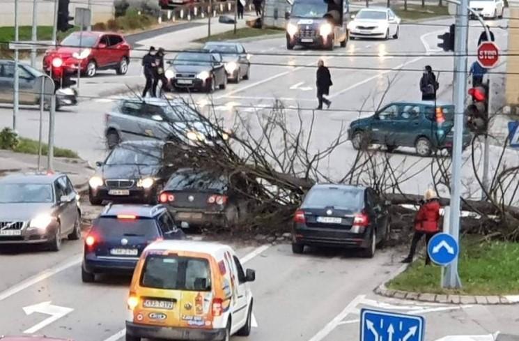 Vjetar iščupao stablo, oštećeni automobili