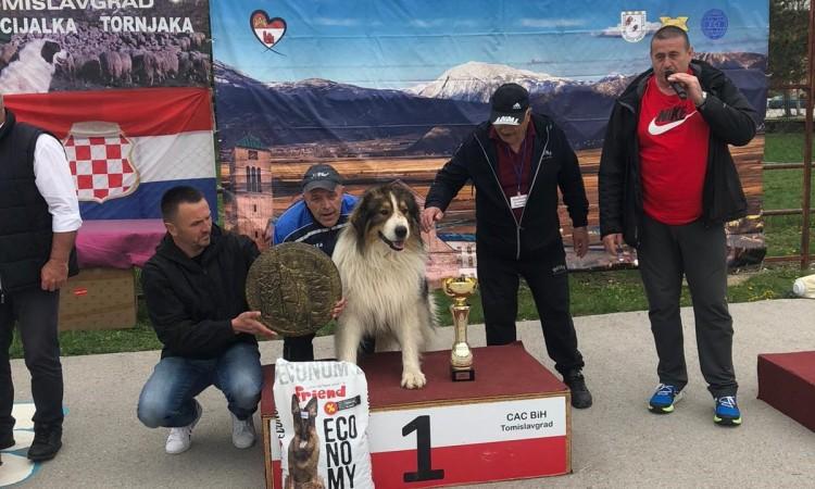 Baraba odnio pobjedu na izložbi tornjaka