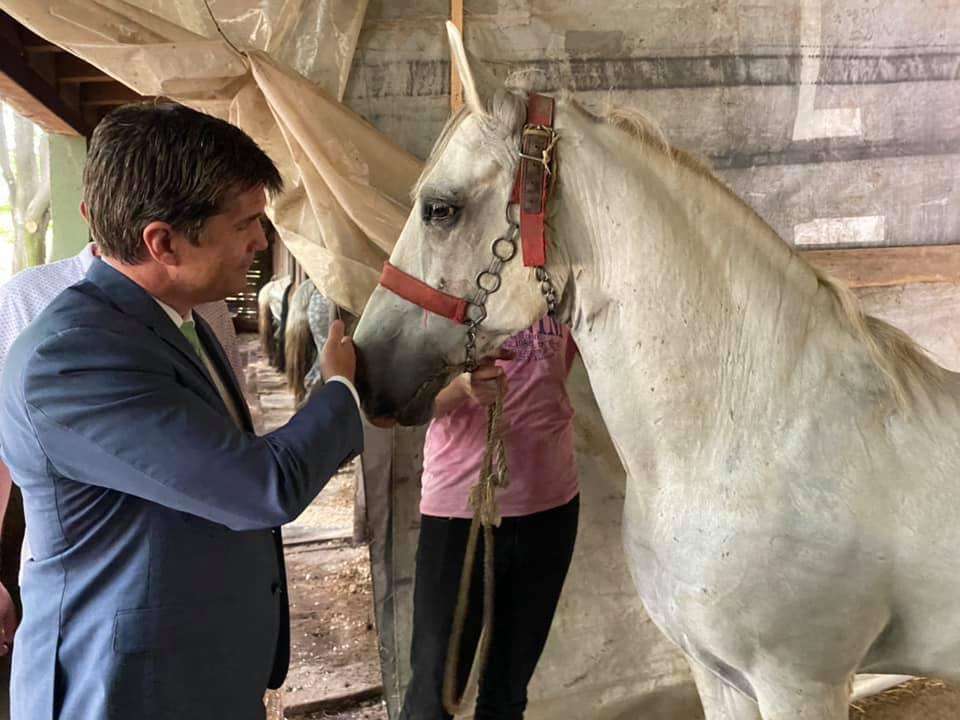 Nelson na ranču u Prnjavoru, vozio se i kočijama