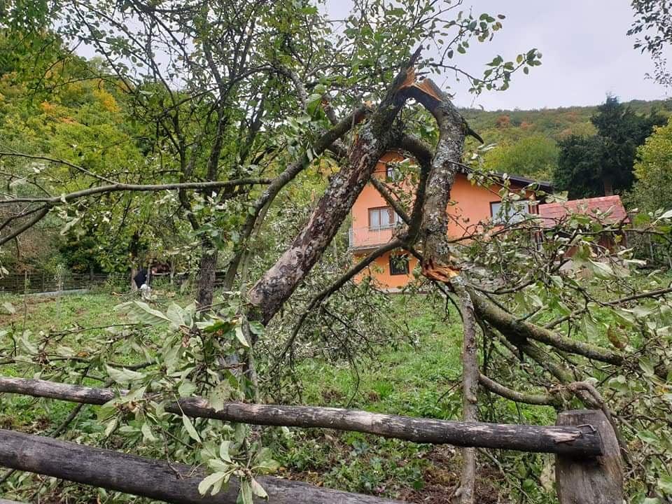 Šteta na imanju: Polomljena stabla voćki - Avaz