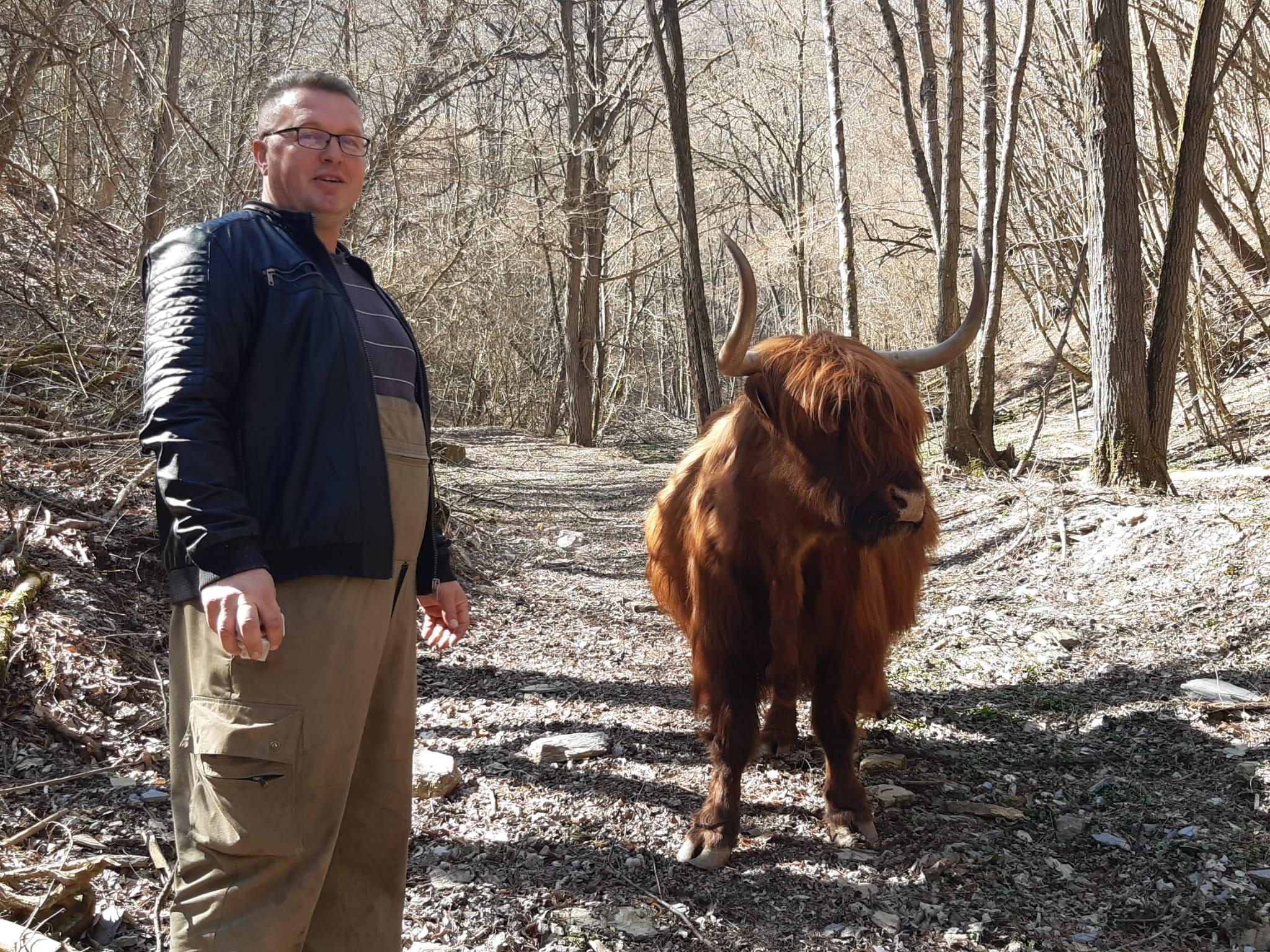 Čatislav iz Graca došao u Kamenice kod Jajca: Uzgaja škotska goveda