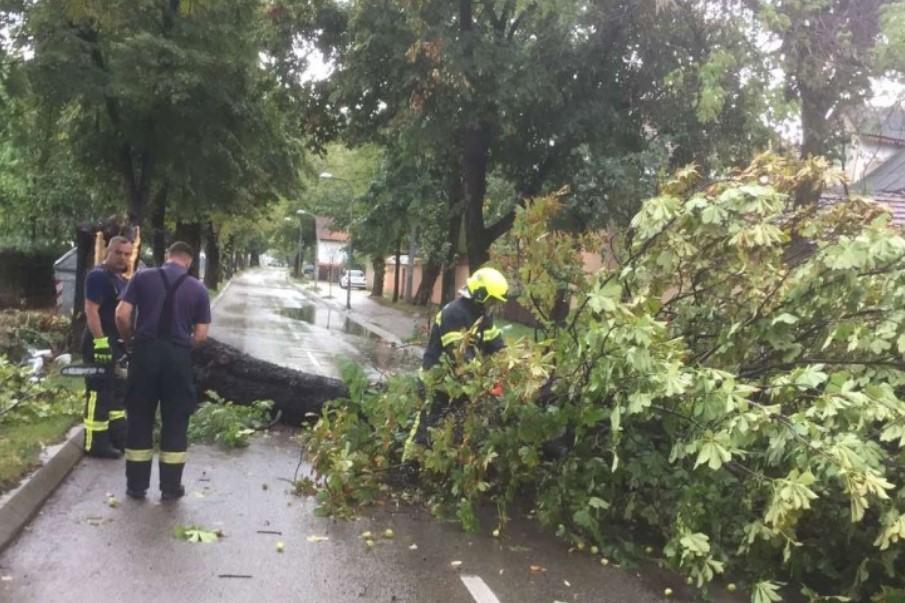 Vjetar obarao stabla u Banja Luci, vatrogasci intervenisali