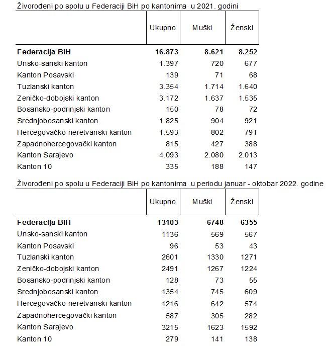 Podaci o živorođenima u FBiH - Avaz