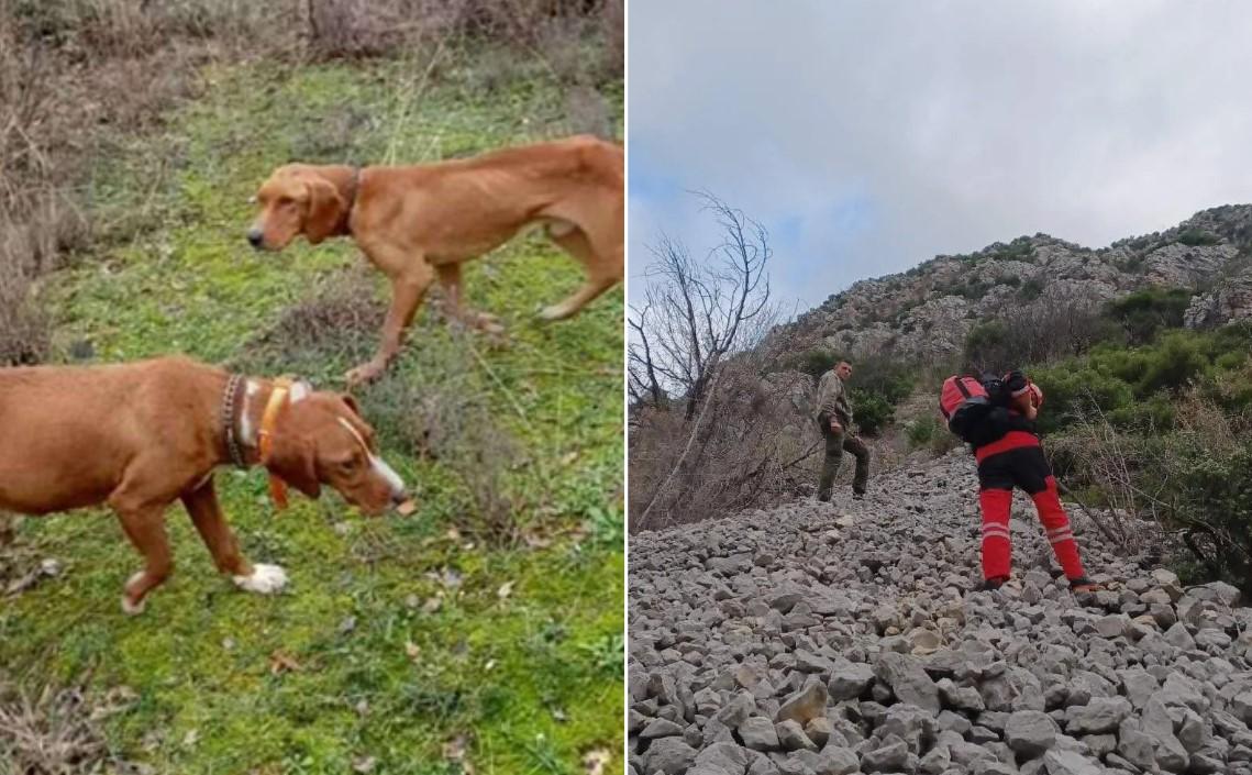 U Hercegovini spašeni psi koji su "zaglavili" u kanjonu na litici