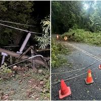 Snažno nevrijeme pogodilo Australiju: Dvoje poginulo, više od 100.000 domova ostalo bez struje