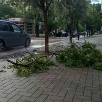 Nevrijeme s obilnom kišom u Mostaru lomilo grane, poplavljene ulice i dvorišta