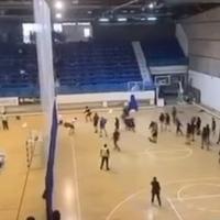 Video / Haos u Crnoj Gori: Huligani upali na parket i prekinuli veliki derbi