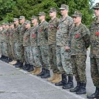 Formirane Oružane snage Bosne i Hercegovine