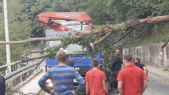 Obratite pažnju na srušena stabla - Avaz