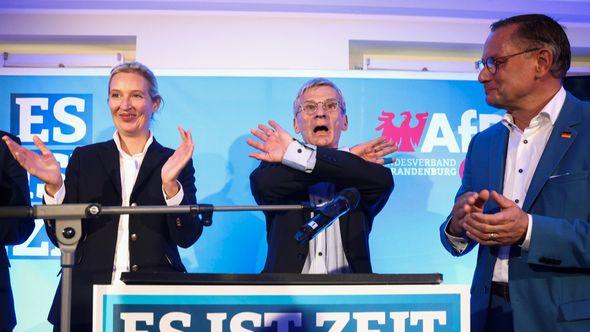 AfD: Predstavili svoj predizborni program - Avaz