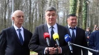 Milanović: Ako se Ustavni sud usudi poništiti izbore to će biti državni udar