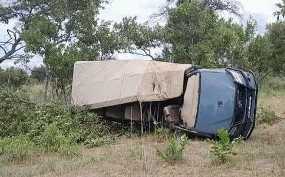 Autobus nakon napada slona - Avaz