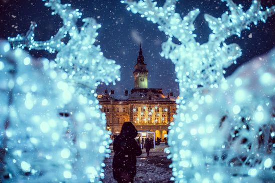 Novi Sad, autor Aleksandar Milutinović - Avaz