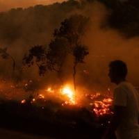 Šumski požar bjesni u blizini Atine: Prouzrokovao nove evakuacije