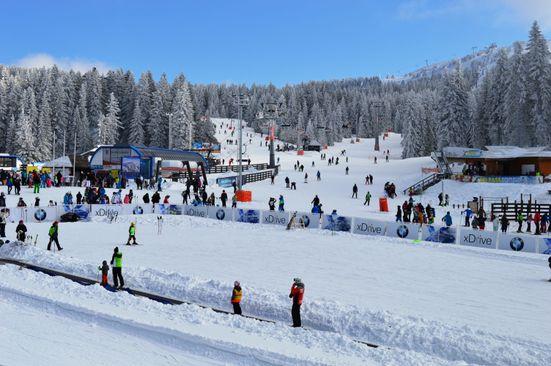 Kopaonik, autor Sonja Šćelović - Avaz