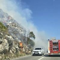 Video / Veliki požar kod Dubrovnika, vatra se širila velikom brzinom, angažirani i kanaderi