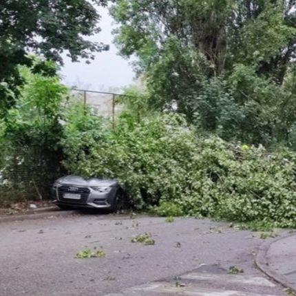 Jako nevrijeme pogodilo Zagreb: Vjetar rušio stabla na ulicu