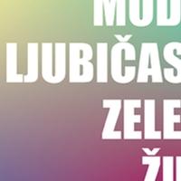 Izložba "Modra, Ljubičasta, Zelena, Žuta": Umjetnički odgovor na sistemsko nasilje nad ženama