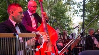 Koncert Evropskog orkestra za mir u sjećanje na genocid nad Romima