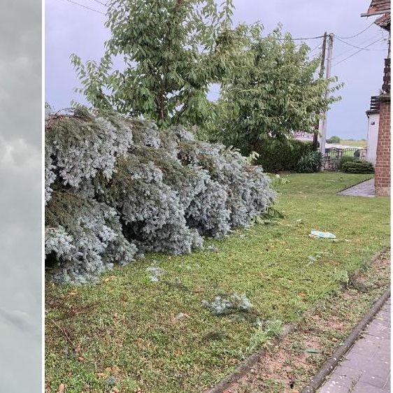 Snažno nevrijeme u Zagrebu: Vjetar nosi sve pred sobom, stabla padaju