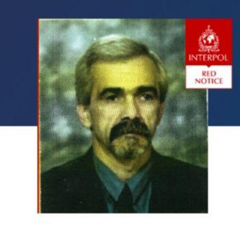 Nedžad Herenda - Avaz