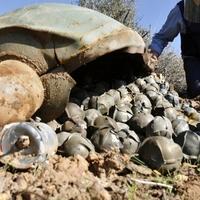 Hezbolah tvrdi da Izrael koristi međunarodno zabranjene kasetne bombe u južnom Libanu
